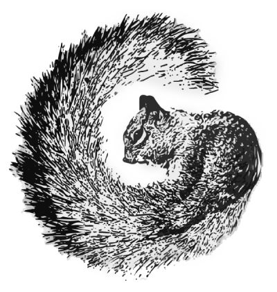 ISWP/PTSA Squirrel Logo